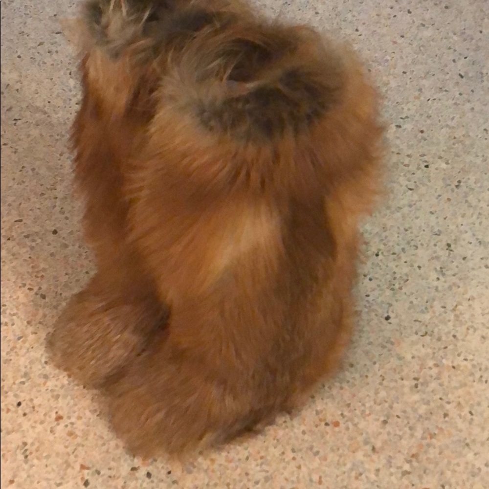 DOLCE & GABBANA RUNWAY